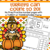 THANKSGIVING Number Sense Printables 1-20 Counting Recognition Tracing No Prep