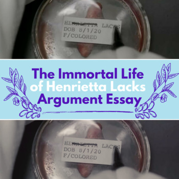 Preview of The Immortal Life of Henrietta Lacks: Argument Essay