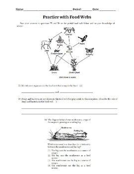 Practice with Food Webs by Emily Gunther | TPT