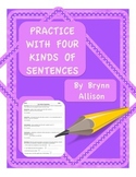 Sentence Type Practice