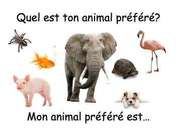 Preview of Practise posters for simple FRENCH questions