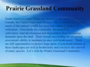 Preview of Prairie Grassland Community Habitats and Ecosystems PowerPoint