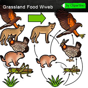 Preview of Prairie Grasslands Food Web Clip Art/ Food Chain Clip Art