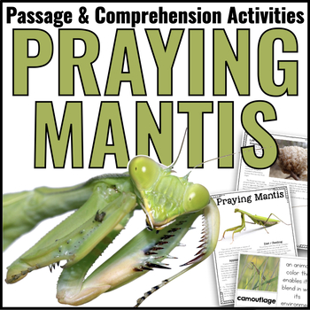 Preview of Praying Mantis Animal Nonfiction Reading Comprehension Passage Life Cycle