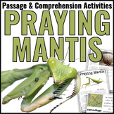 Praying Mantis Animal Nonfiction Reading Comprehension Pas