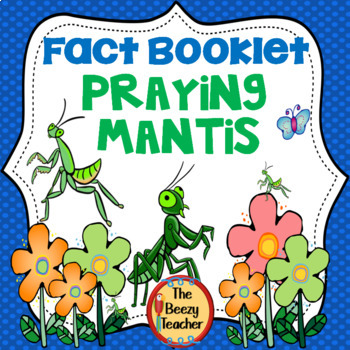 Preview of Praying Mantis Fact Booklet | Nonfiction | Comprehension | Craft