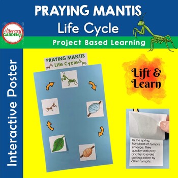 Preview of Praying Mantis Insect Life Cycle Project