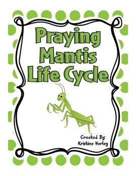 Preview of Praying Mantis Life Cycle