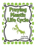 Praying Mantis Life Cycle