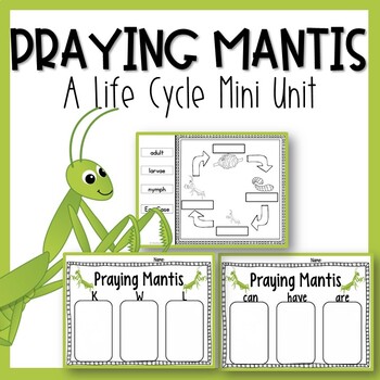 Praying Mantis Life Cycle Chart