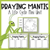 Praying Mantis Life Cycle