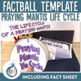 Praying Mantis Life Cycle Factball and Fact Sheet