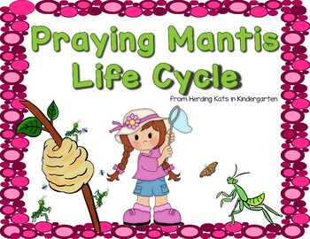 Preview of Praying Mantis Life Cycle Pack with Observation Journal