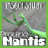 Praying Mantis: Life Cycle: STEM Unit: Distance Learning