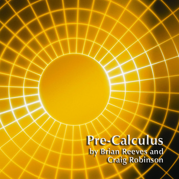 Preview of Pre-Calculus-Student Activity Book