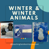Pre-K Theme Winter & Winter Animals Lesson Ideas
