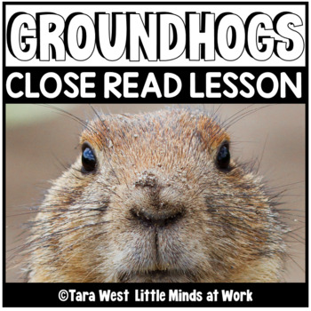 Preview of Pre-K (and Kindergarten) Literacy Curriculum FREE PREVIEW: GRUMPY GROUNDHOG