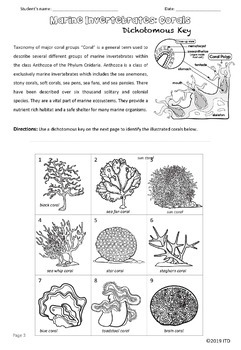 The Dichotomous Key of Corals with Guide How to Identify Marine