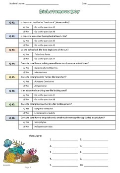 Dichotomous Key to Corals with Guide How to Identify Marine Invertebrates