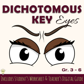 Preview of Classifying Eyes: The Dichotomous Key to Eyes with a Digital Guide EDITABLE Text