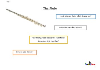 Preview of Pre-Tutor Book- Flute (2x 30 min lessons)