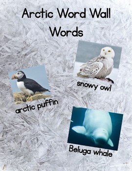 Preview of Arctic Animals Word Wall - Words First