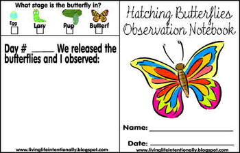Preview of Pre/K/1st/2nd Science - Hatching Butterflies Observation Book