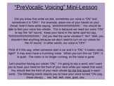 PreVocalic Voicing Mini-Lesson