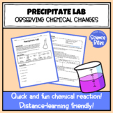 Precipitate Lab - Observing Chemical Changes