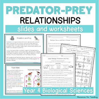 Preview of Predator-Prey Relationships Slides and Worksheets - Year 4 Science