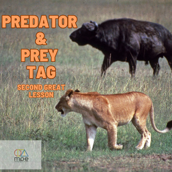 Preview of Predator Prey Tag Lesson and Video Bundle