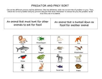 Predator and Prey Sort by The Teaching Chick | Teachers Pay Teachers