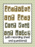 Predator and Prey Sort Cards with recording sheet and questions