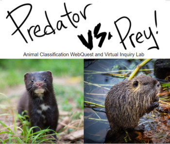 Preview of Predator vs Prey WebQuest and Virtual Inquiry Lab