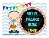 Predators vs Prey with Candy Exploration!