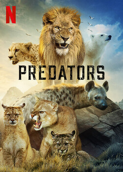 Preview of Predators 5 Episode Bundle -Netflix Series Cheetah Lion Puma Polar Bear Wild Dog