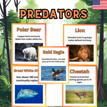 Preview of Predators For Kids, Flash Cards, English Fun Fucts, Printables, Real Pics.