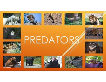 Preview of Predators-pictures, diet, habitat, attributes, and babies.