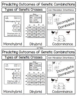 Preview of Predicting Outcomes of Genetic Combinations