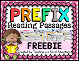 Prefix Reading Passage FREEBIE