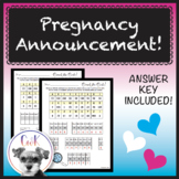 Pregnancy Announcement!