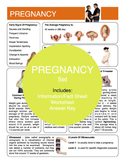 Pregnancy Content Sheet, Worksheet And Answer Key