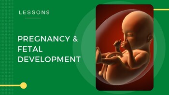 Preview of Pregnancy + ART + Embryonic and Fetal Development