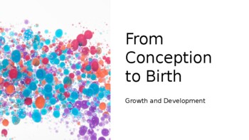 Preview of Pregnancy: From Conception to Birth POWER POINT (Growth and Development)
