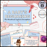 Pregnancy Lesson: A Baby's Beginning