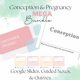 Pregnancy MEGA Bundle: Google Slides, Notes, Quiz, BINGO, 