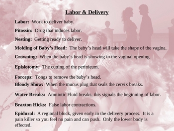 Preview of Pregnancy Powerpoint 3 Labor and Delivery
