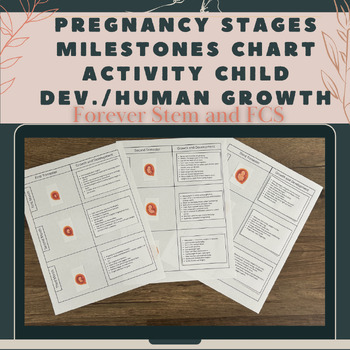 Preview of Pregnancy Stages Milestones Chart Activity