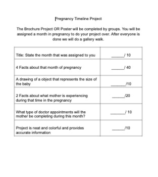 Preview of Pregnancy Timeline Project 