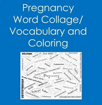 Preview of Pregnancy Word Collage (Vocabulary, Coloring, Growth and Development)